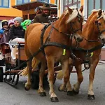 Apartment Reiters-ferienhaus