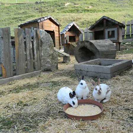 Reiters-ferienhaus Apartamento *