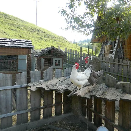 Reiters-ferienhaus *