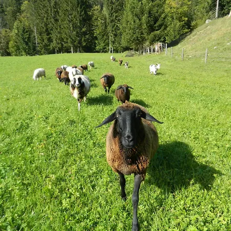 Reiters-ferienhaus Russbach am Pass Gschütt