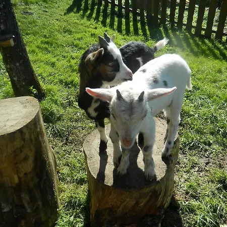 아파트 Reiters-ferienhaus