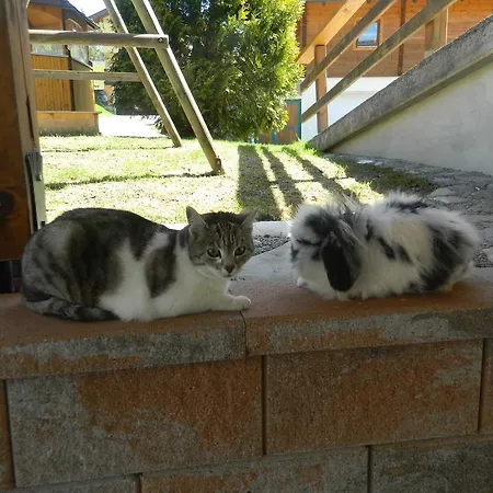 Reiters-ferienhaus 루스바흐 암 파스 그슈에트