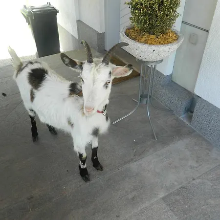 Reiters-ferienhaus 아파트 *